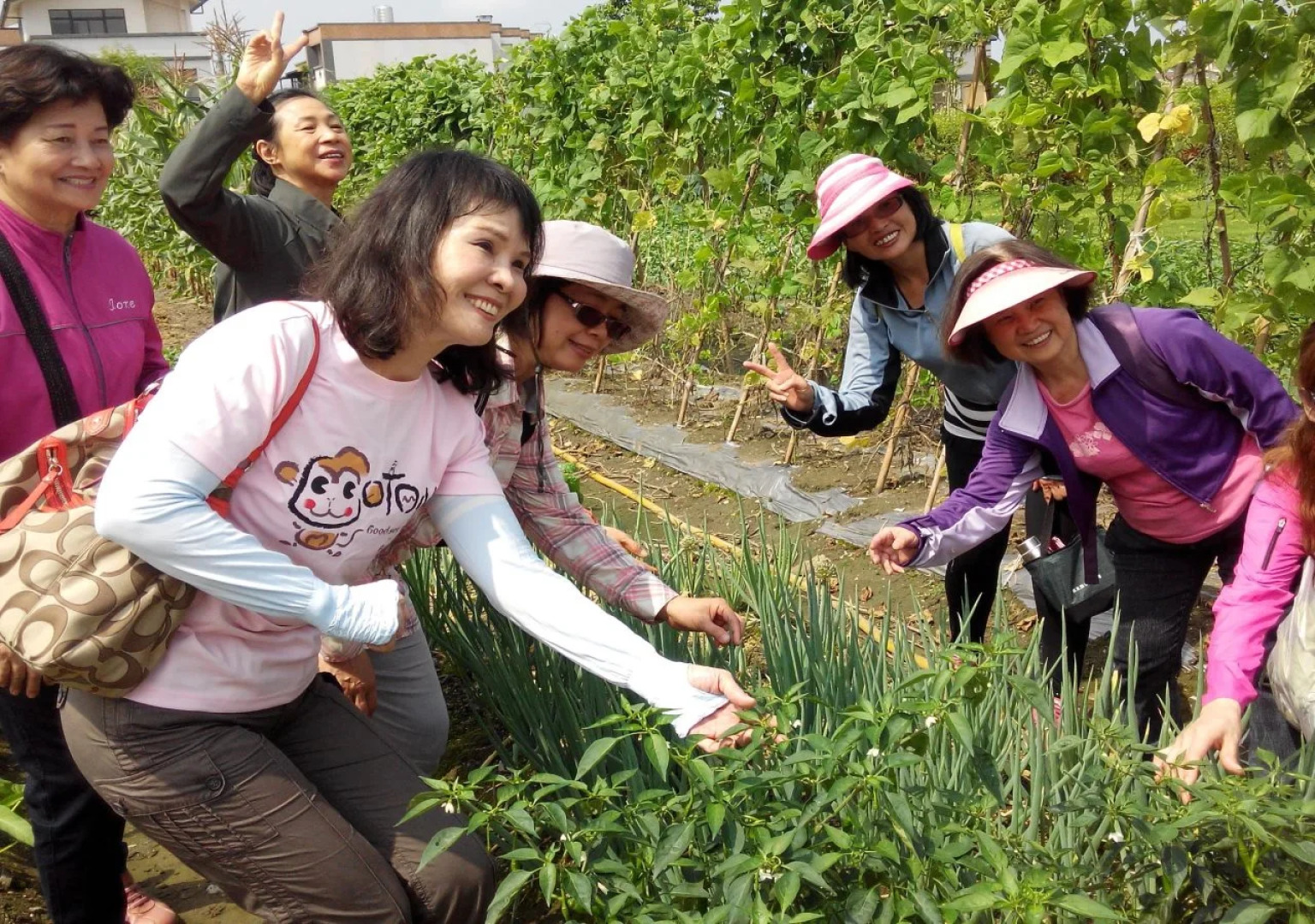 Crescent Moon Farm Bed & Breakfast