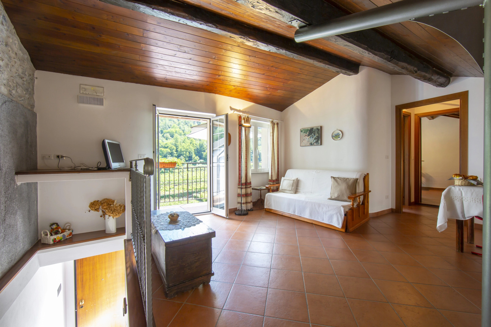 Gelsomino among vineyard