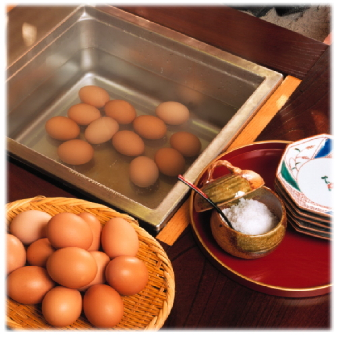 Wakura Onsen Noushu Iroha