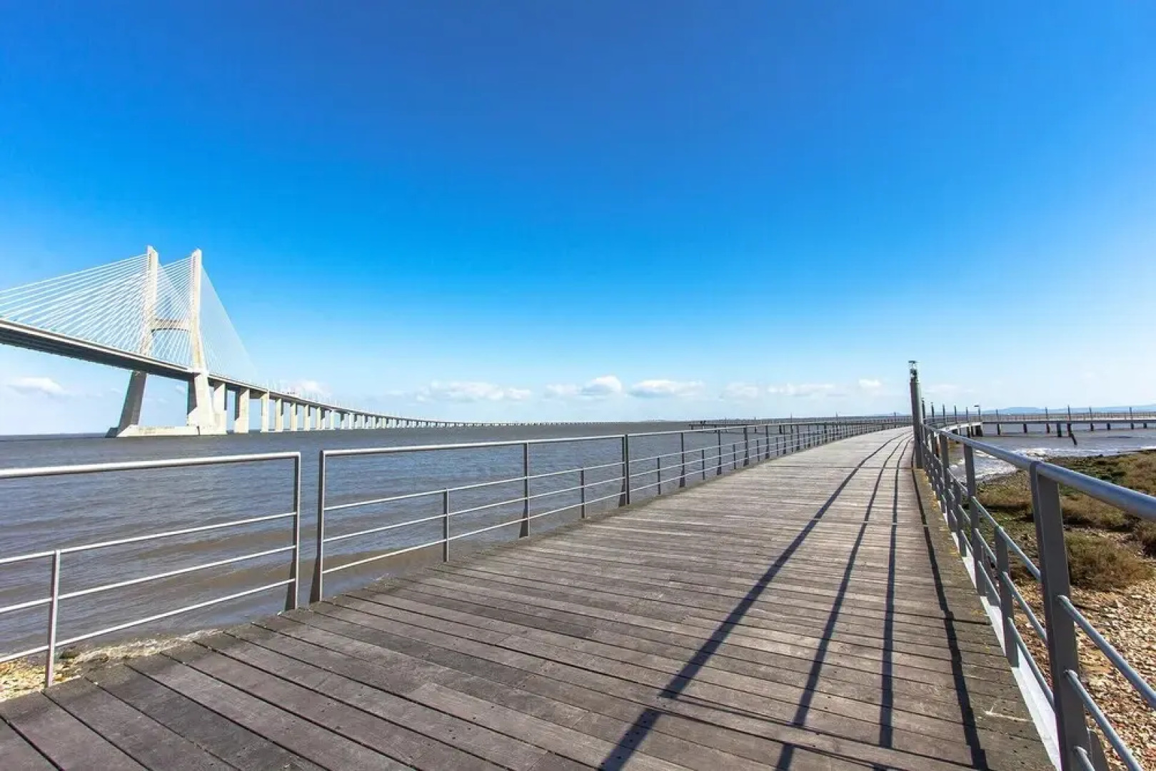 Expo Kid's Friendly by Homing