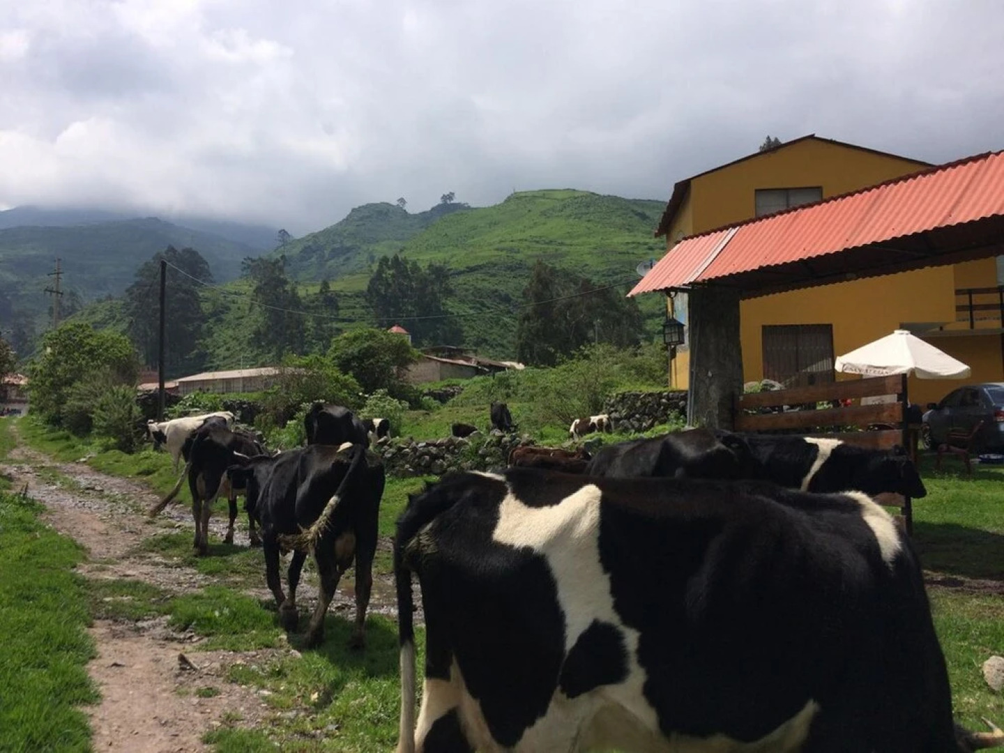 Hospedaje San Alejandro Obrajillo