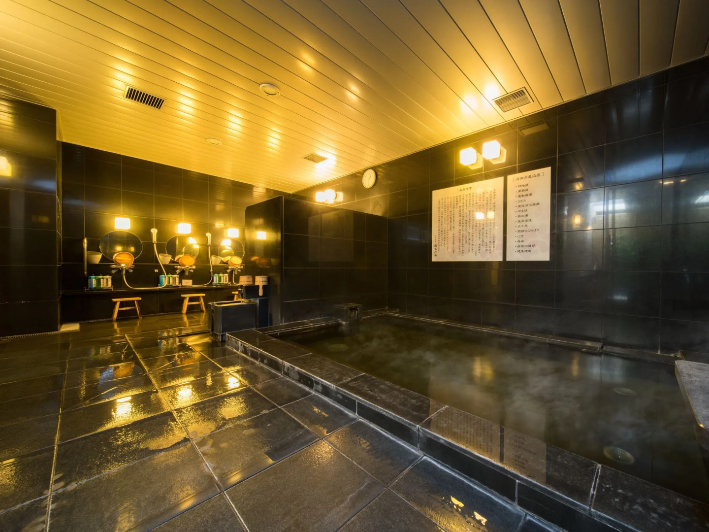 SUPER HOTEL Premier JR Nara Station