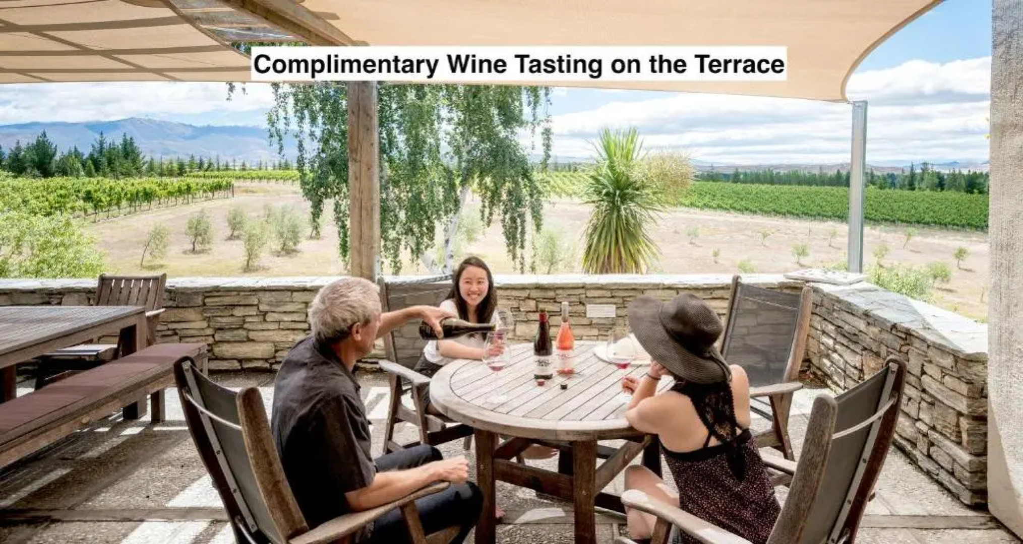 Grey Ridge Vineyard Experience