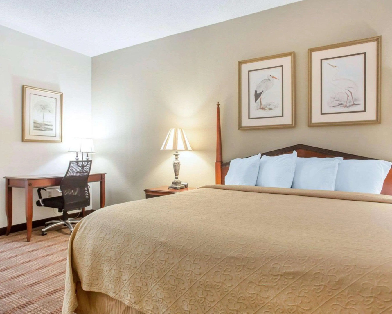 Comfort Inn & Suites Patriots Point