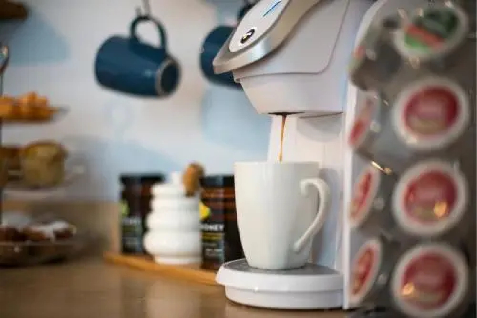 Cameron's Cove Bed & Breakfast