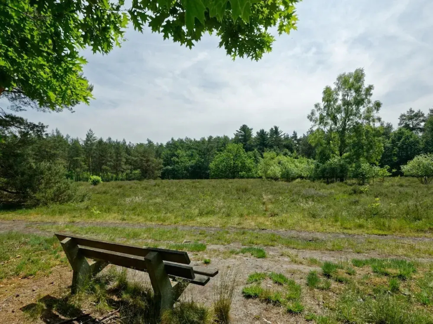 Wooden Chalet in a Holiday Park in the Achterhoek