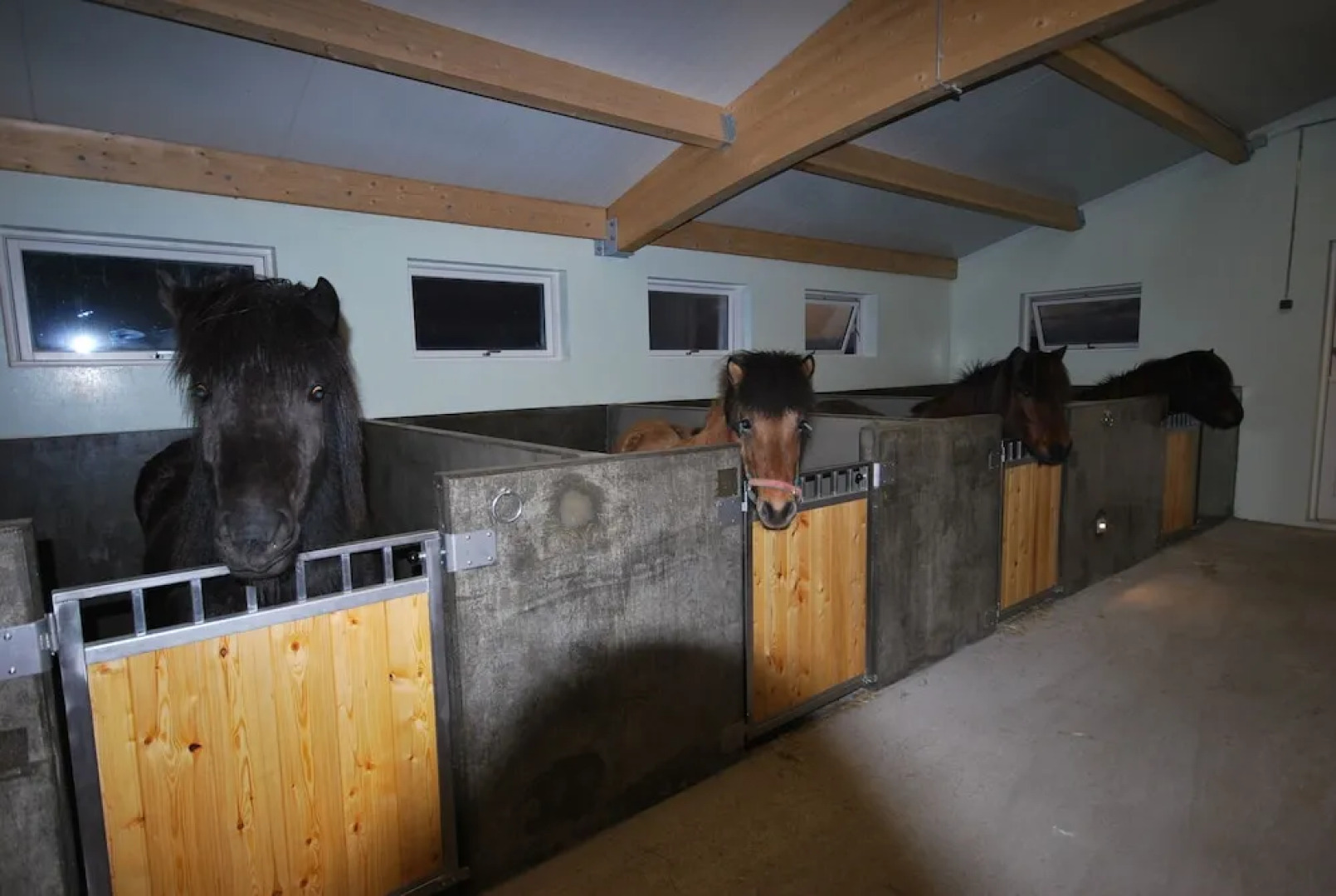 Álftröð Guesthouse