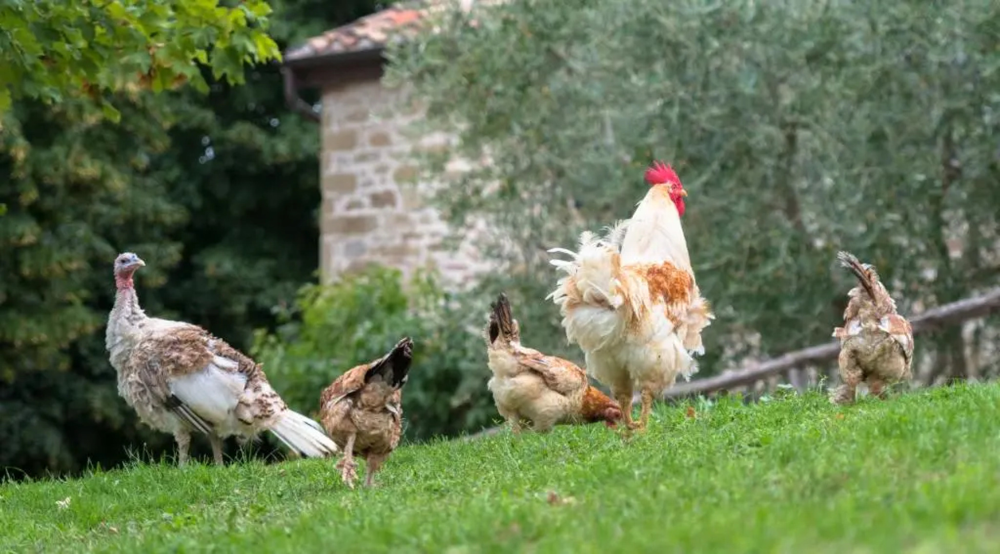 Farm Stay Agriturismo Semidimela