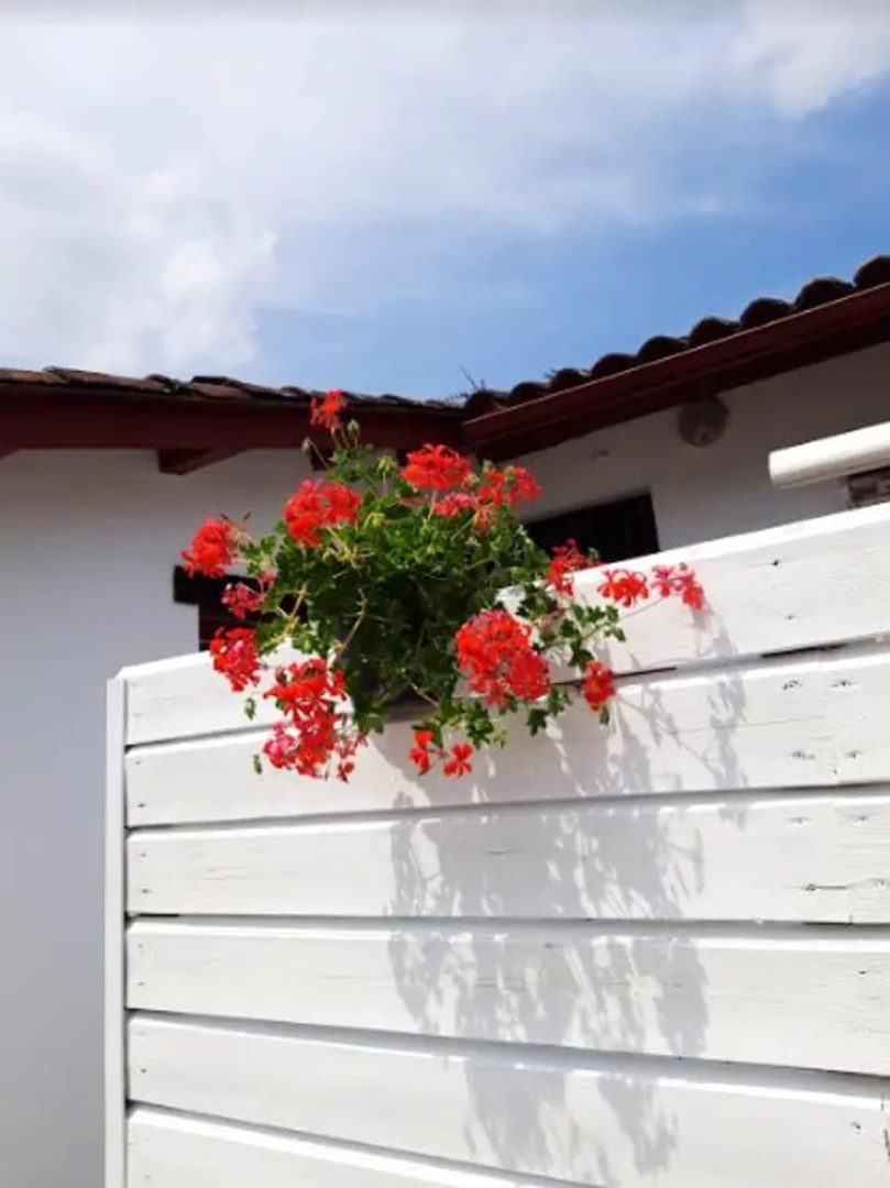 Apartment With one Bedroom in Saint-pée-sur-nivelle, With Wonderful Mountain View, Enclosed Garden and Wifi