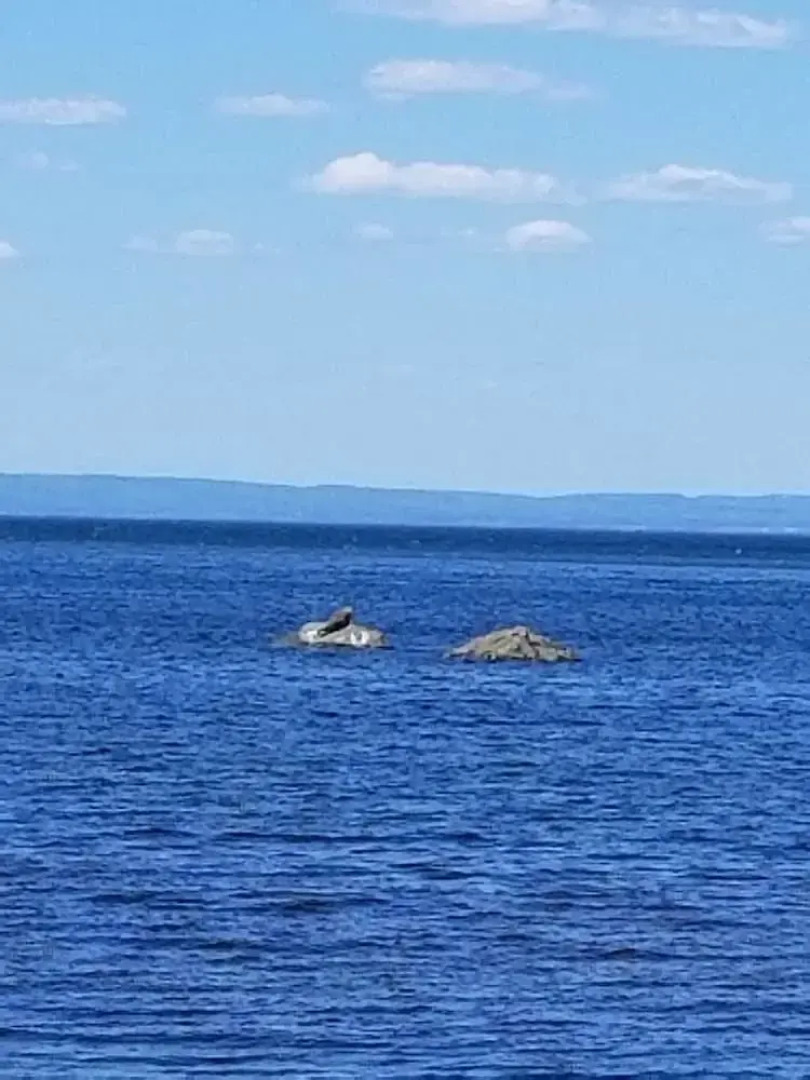 Property With one Bedroom in Pointe-verte, With Wonderful sea View, Furnished Terrace and Wifi - 85 km From the Slopes