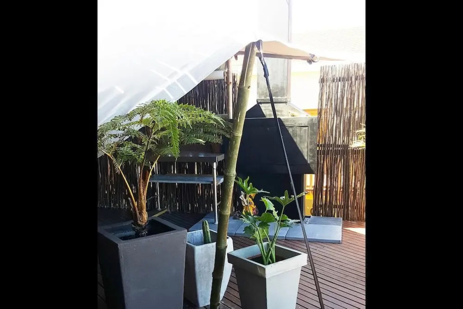 Surfed Out Jeffreys Bay