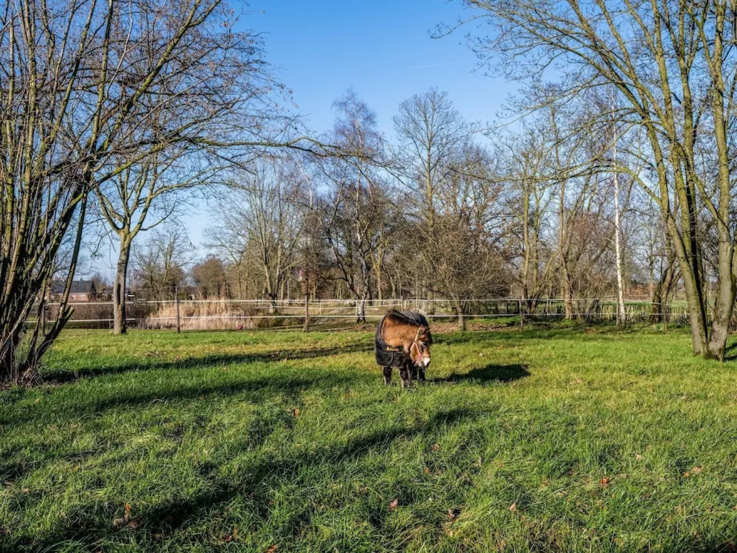 Pleasant Holiday Home in the Brabant Village of Zeeland wit Garden