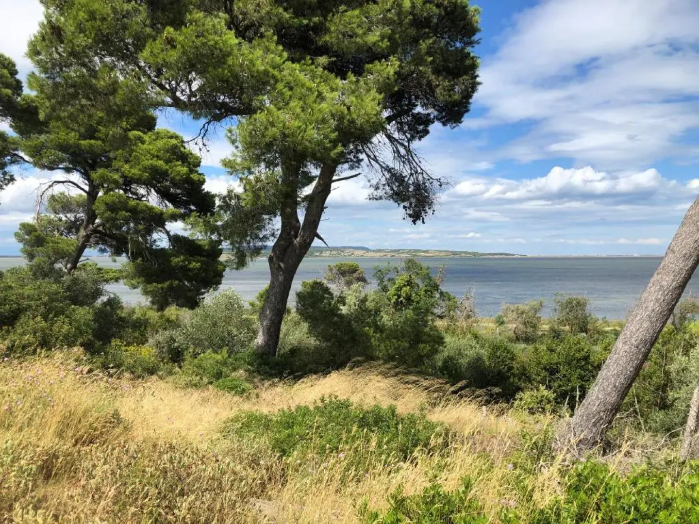 Mobil home 4 personnes Port la nouvelle