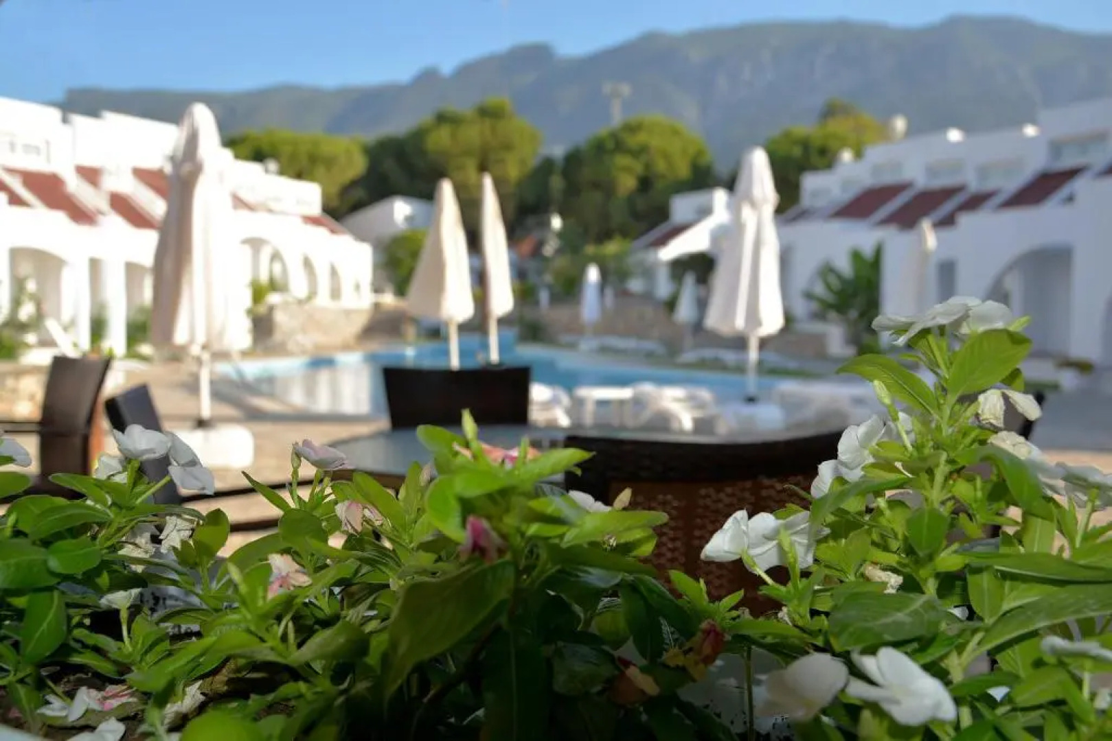 Club Lapethos Bungalow