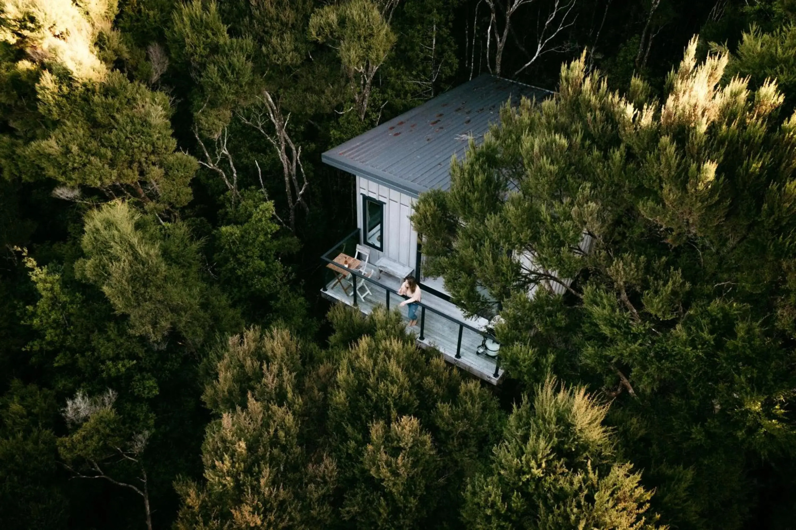 Treetop Tranquility