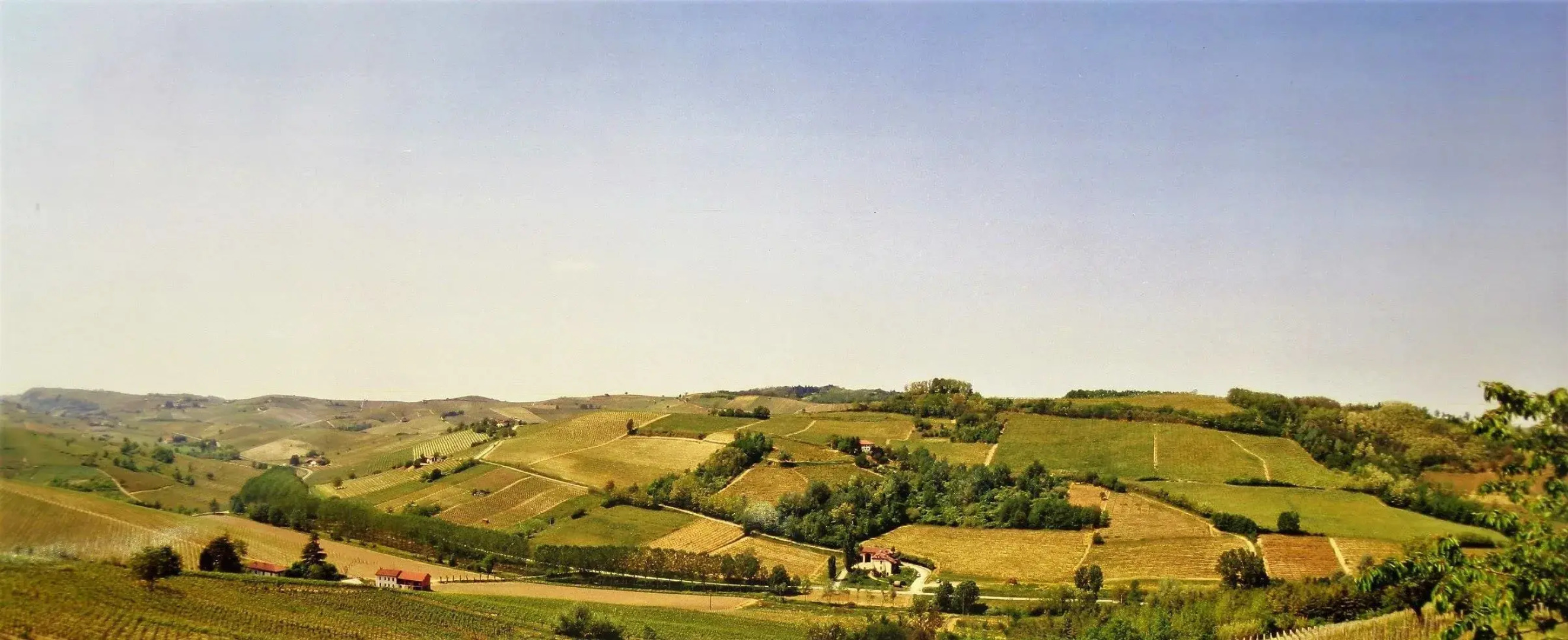 Agriturismo il Buonvicino