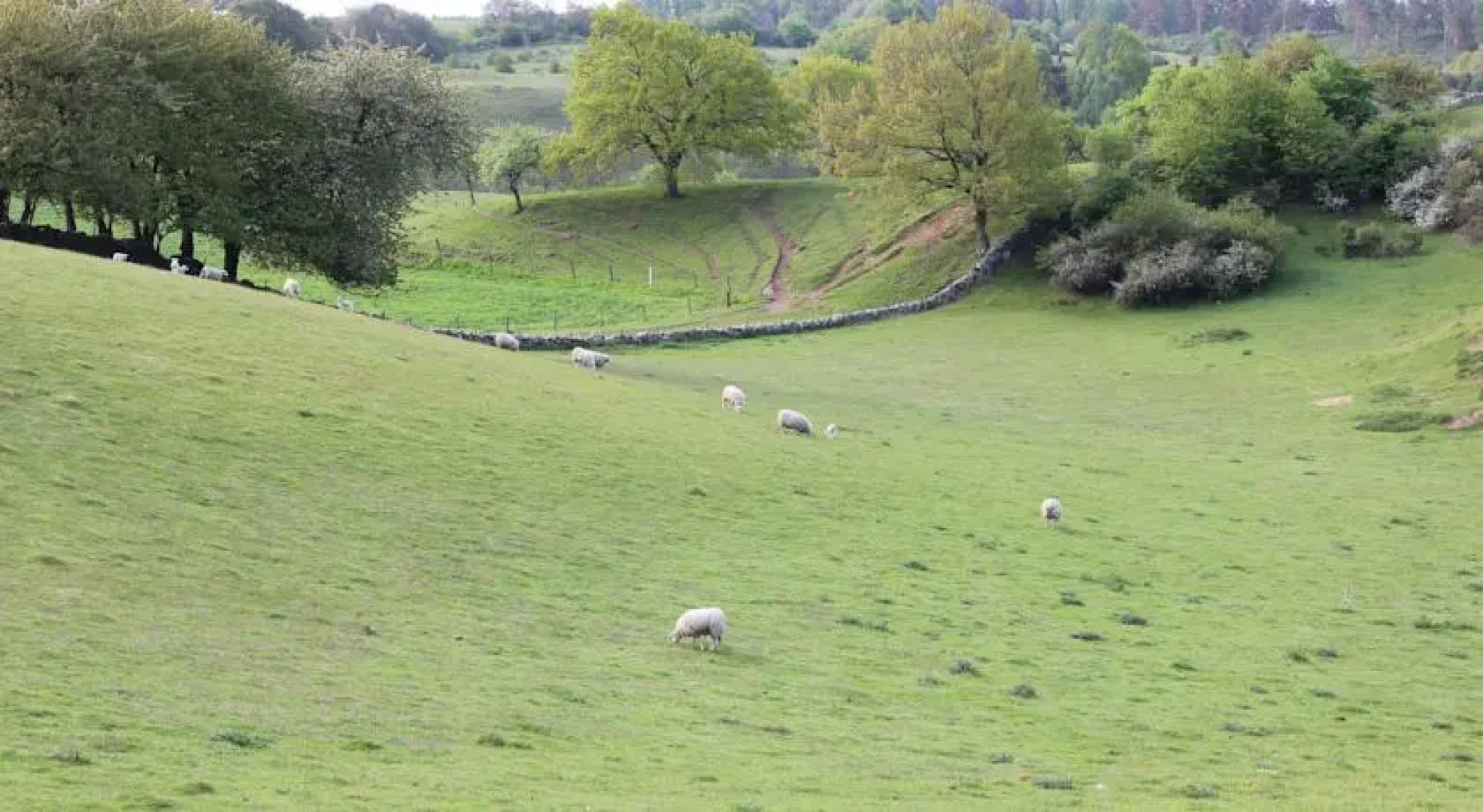 Talldungens Gårdshotell