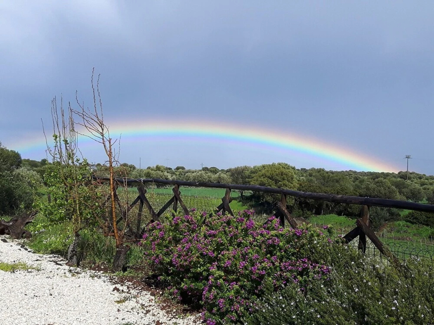 Agriturismo Su Barcu