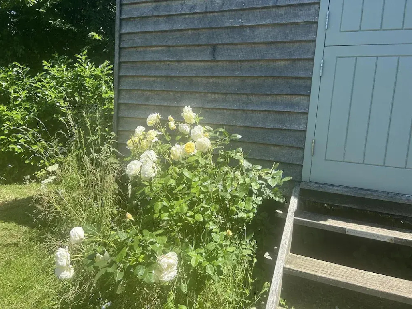 Cozy Cabin Retreat in Bedford