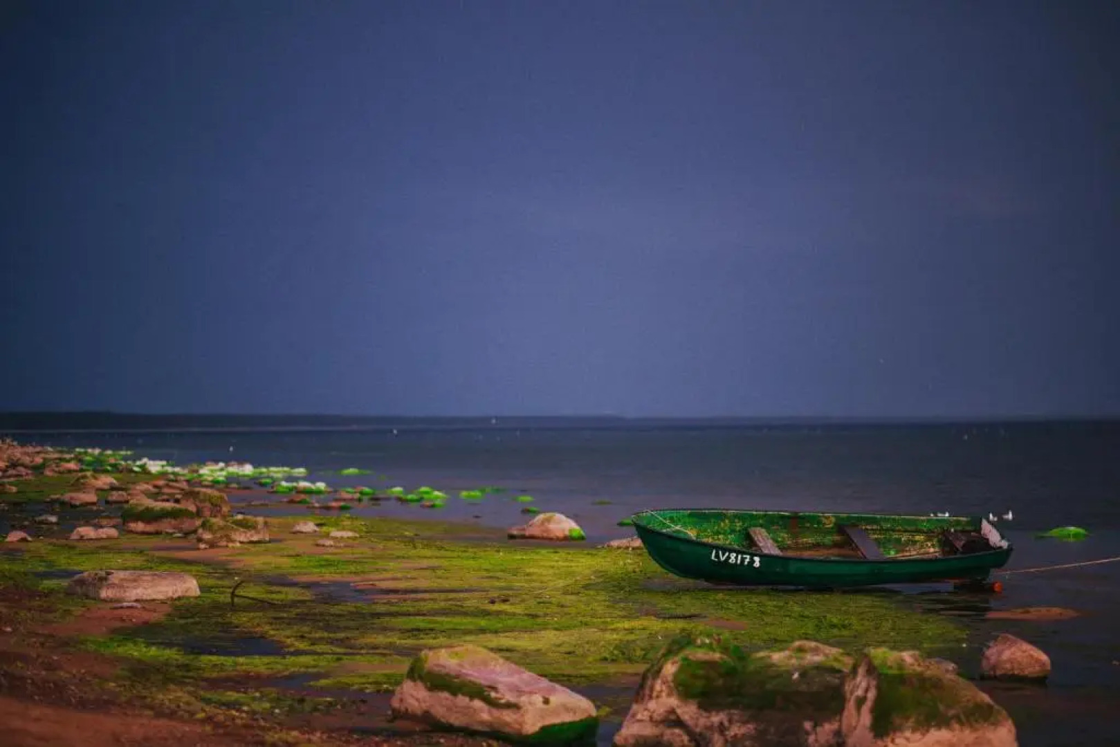 Guest House Baltās Dūjas