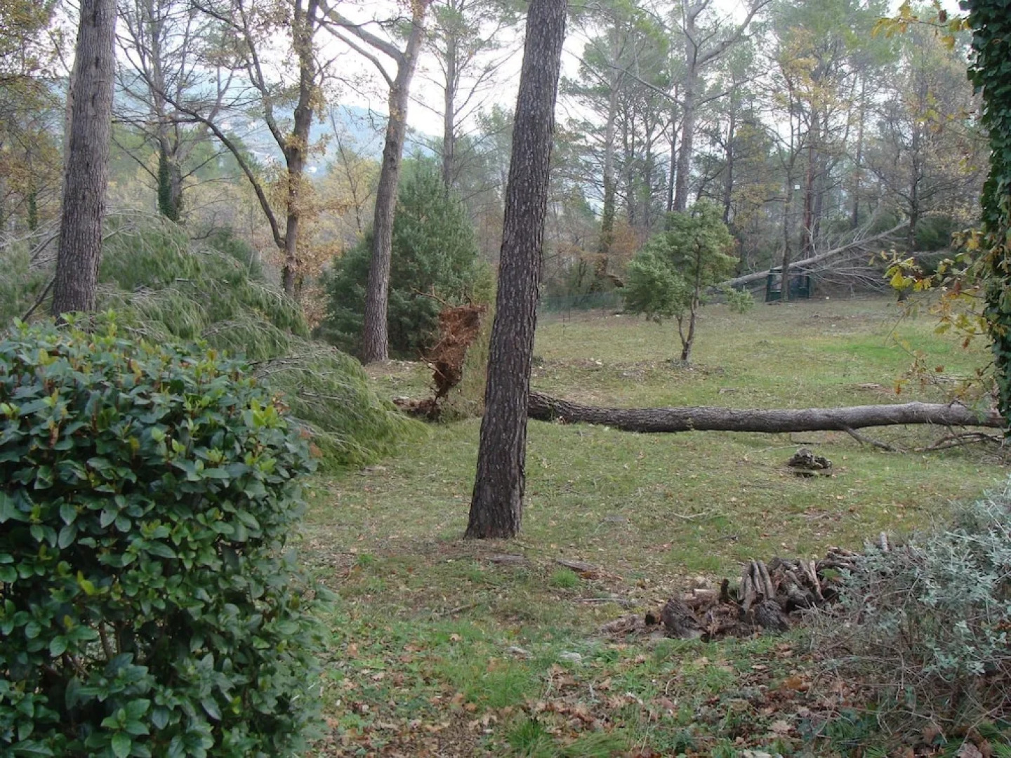 Family Friendly Villa With Secured Private Pool and Beautiful Nature Garden, 1.5 km From Seillans