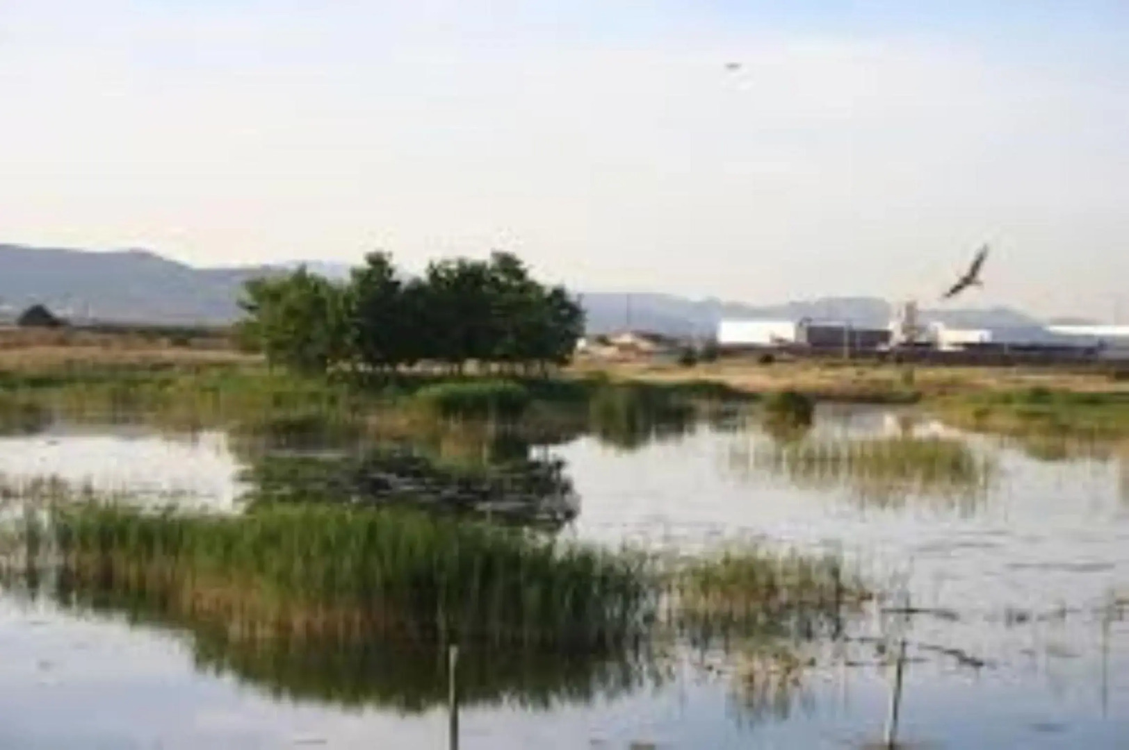 Apartamento Cerca De Playa Y Montaña Ideal Familias O Relax