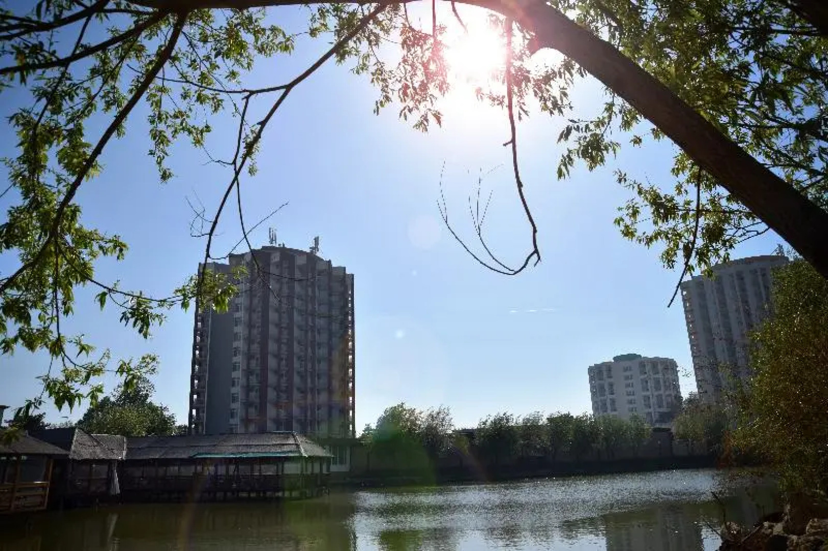 Complex Hotelier Vulturul