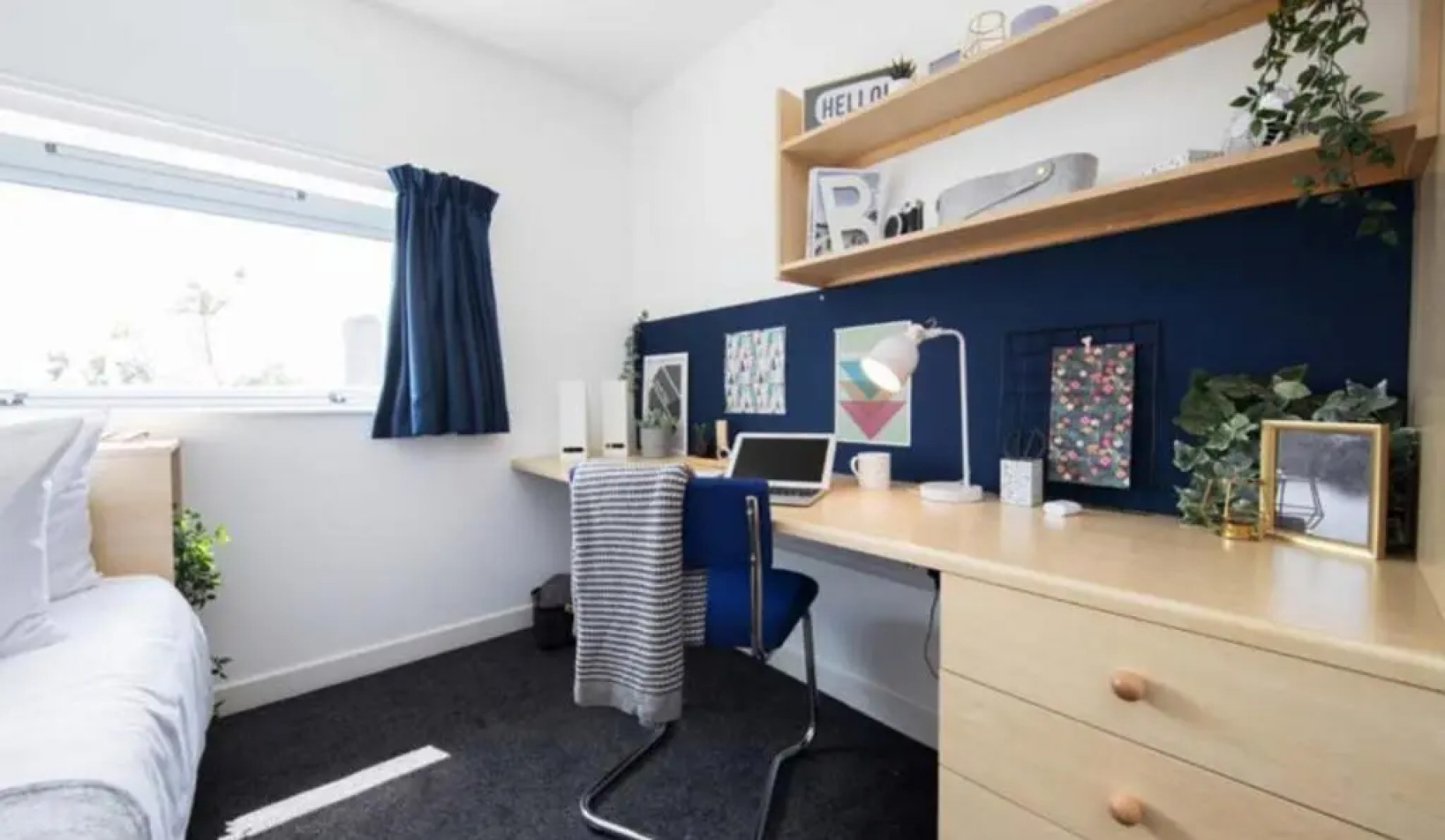 Bright Rooms for STUDENTS Only - Bedford, SK