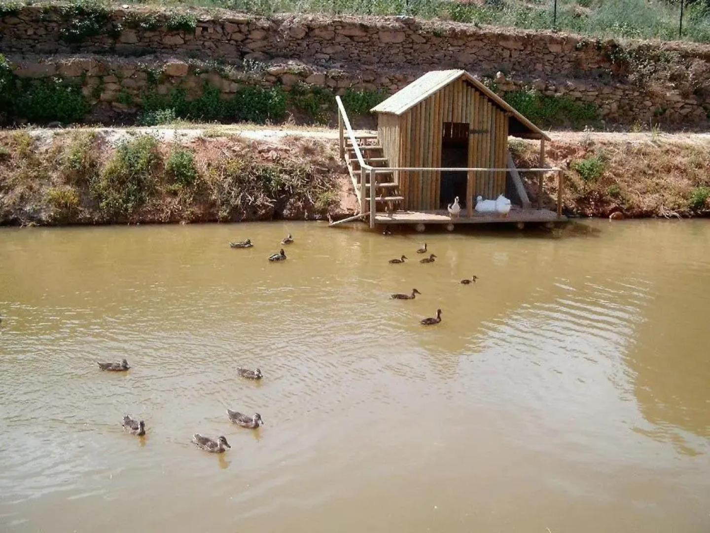 Valonquinta - Agricultura E Turismo De Vila Flor