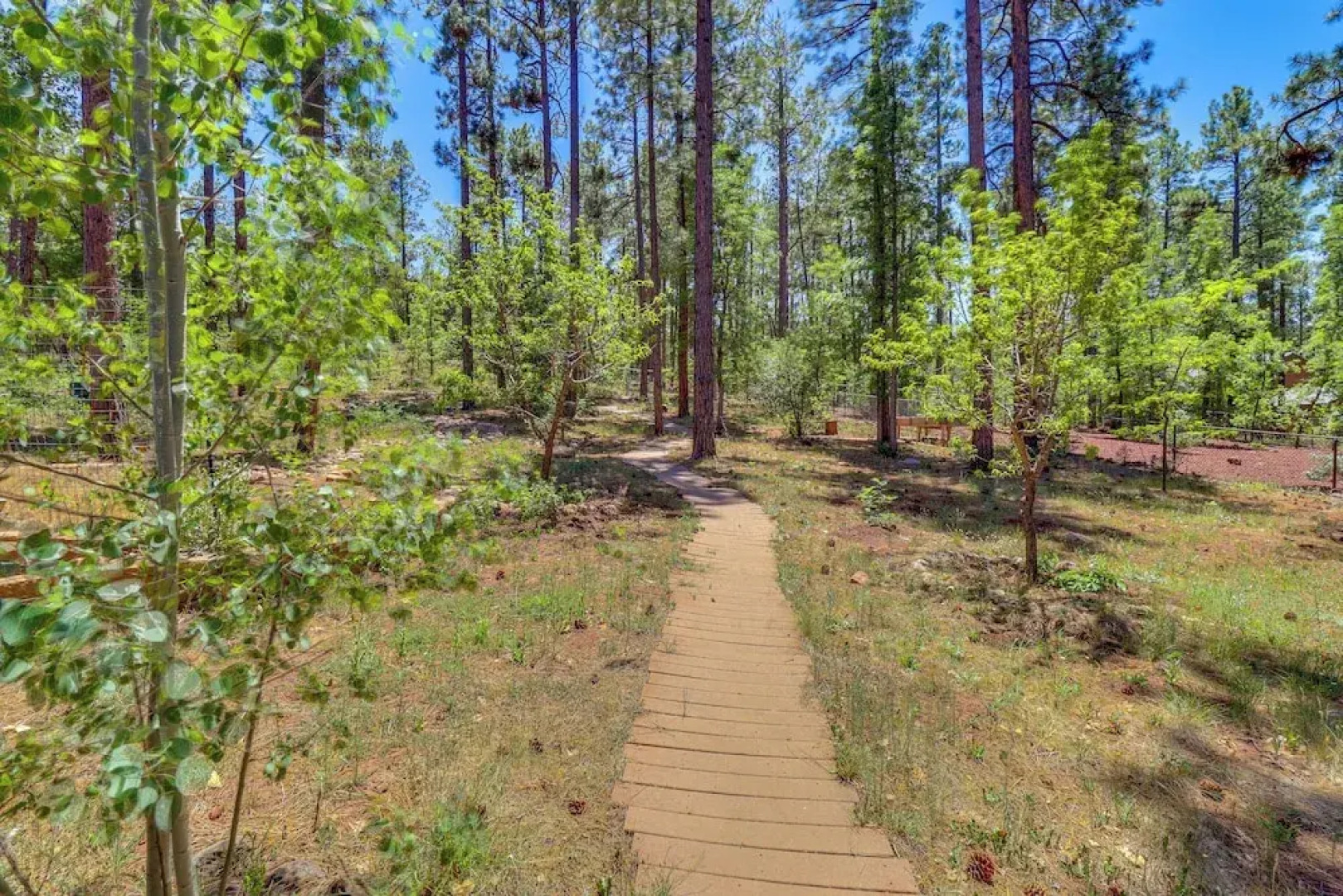 Hot Tub & Game Room: All-season Pinetop Cabin