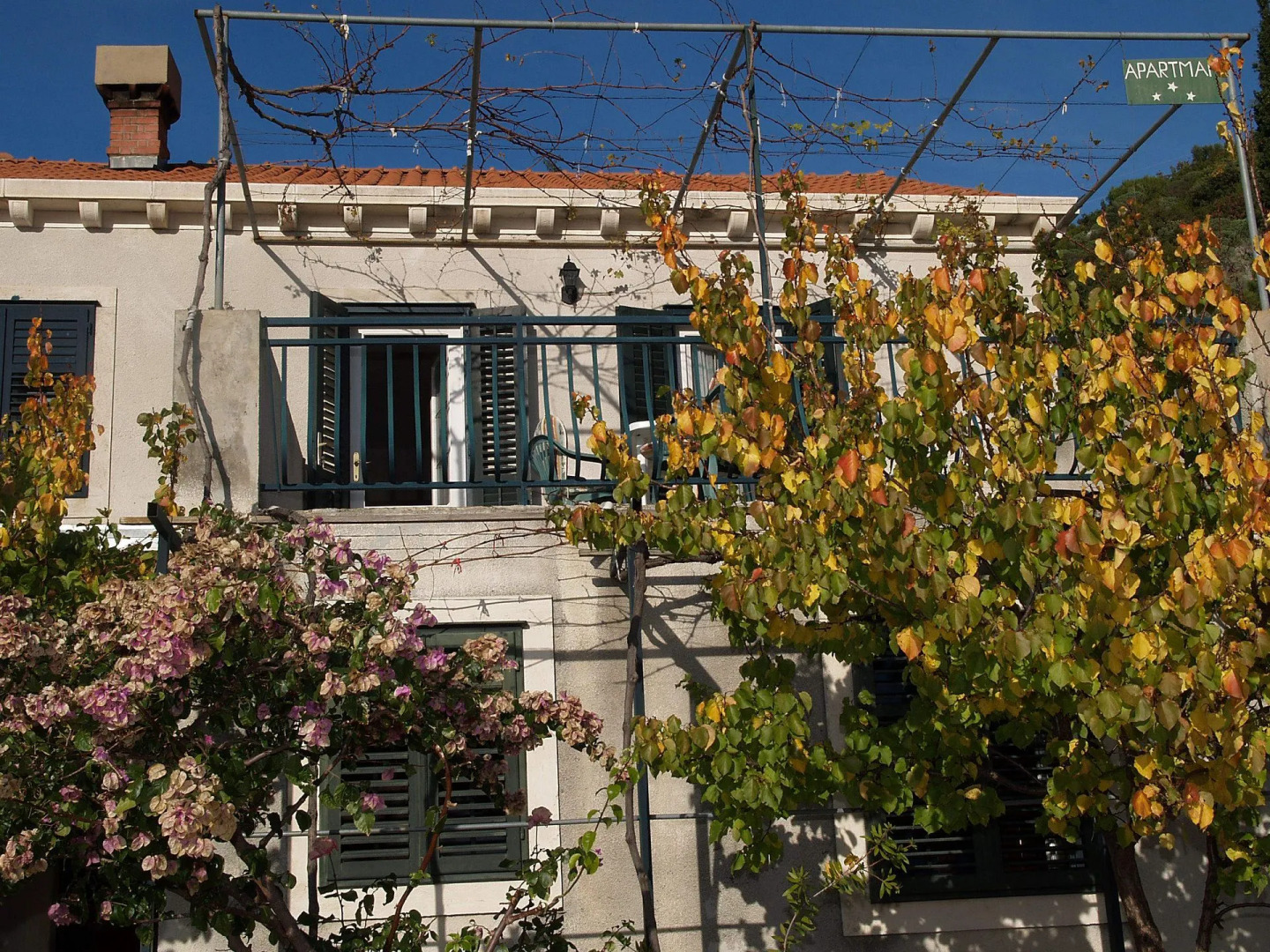 Apartment Ančica - 200 m from beach: A1 Slano, Riviera Dubrovnik