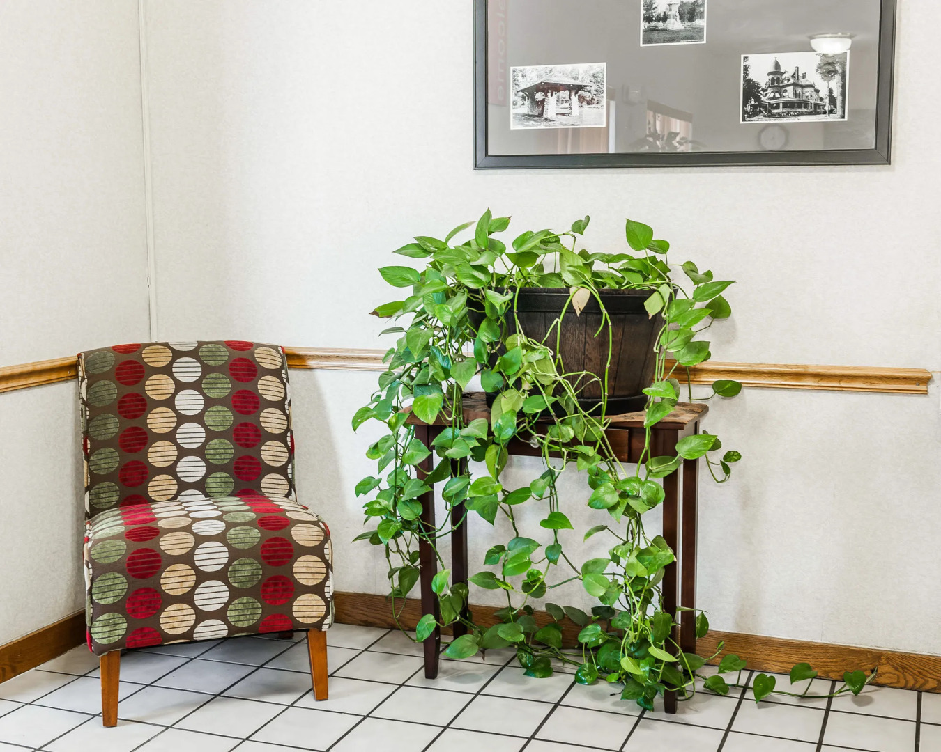 Comfort Inn Near Kokomo Speedway