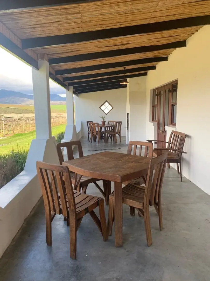 Endless Vineyards at Wildekrans Wine Estate