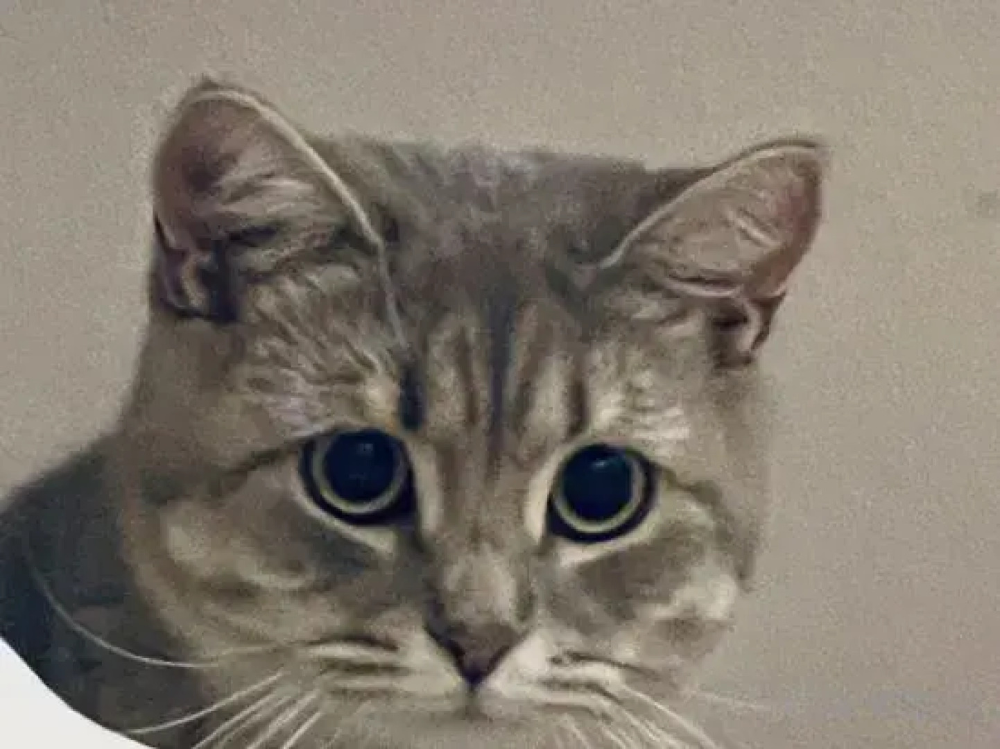 Yiwan Huqi Homestay in Lugu Lake