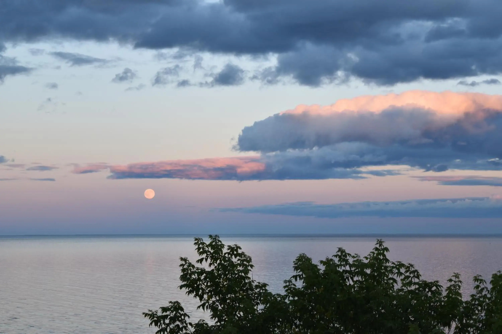 Motel Carleton sur mer