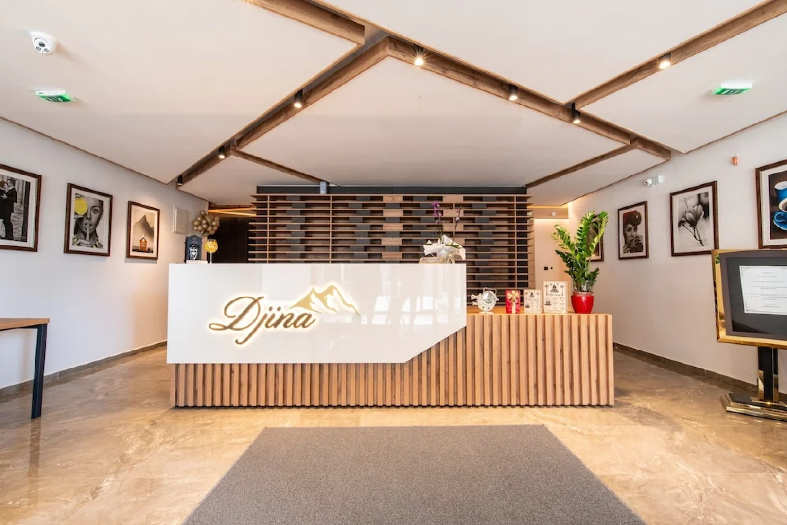 Hotel Djina - Kopaonik