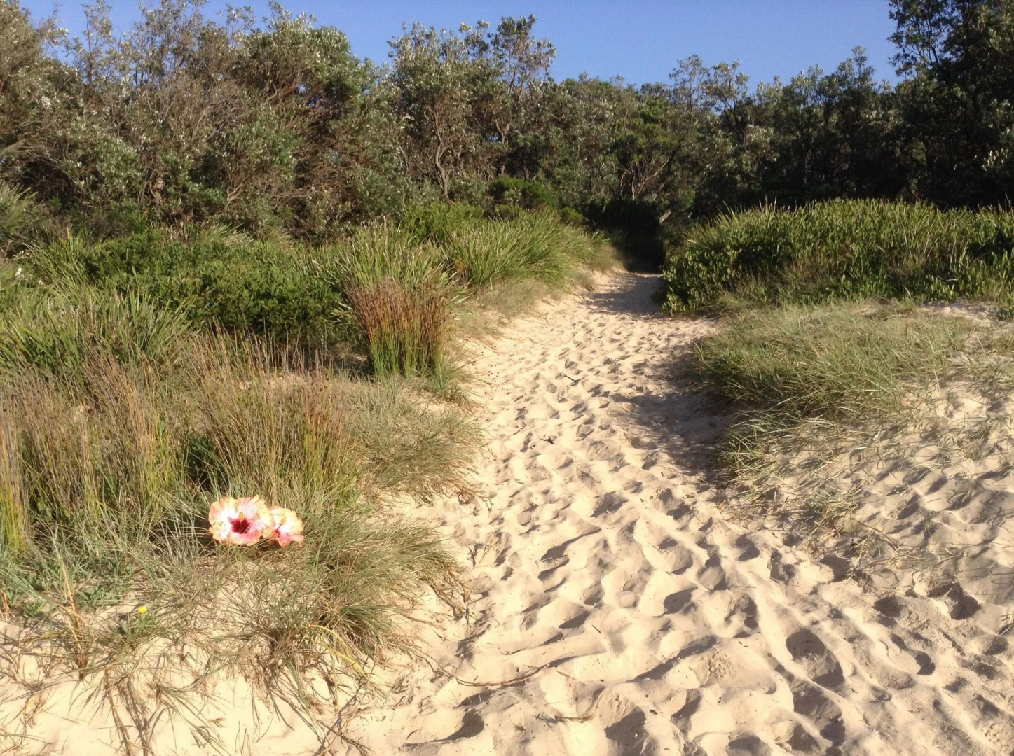 The Peninsular Merimbula