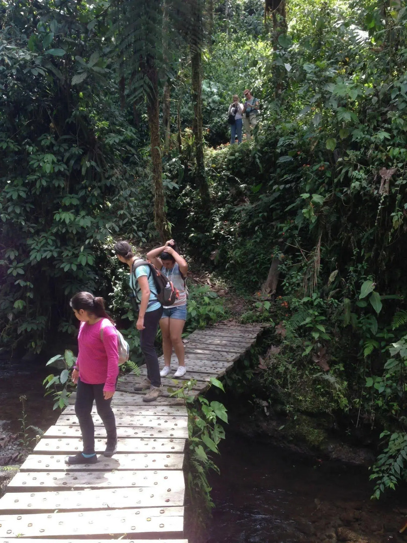 Casa Divina Eco Lodge