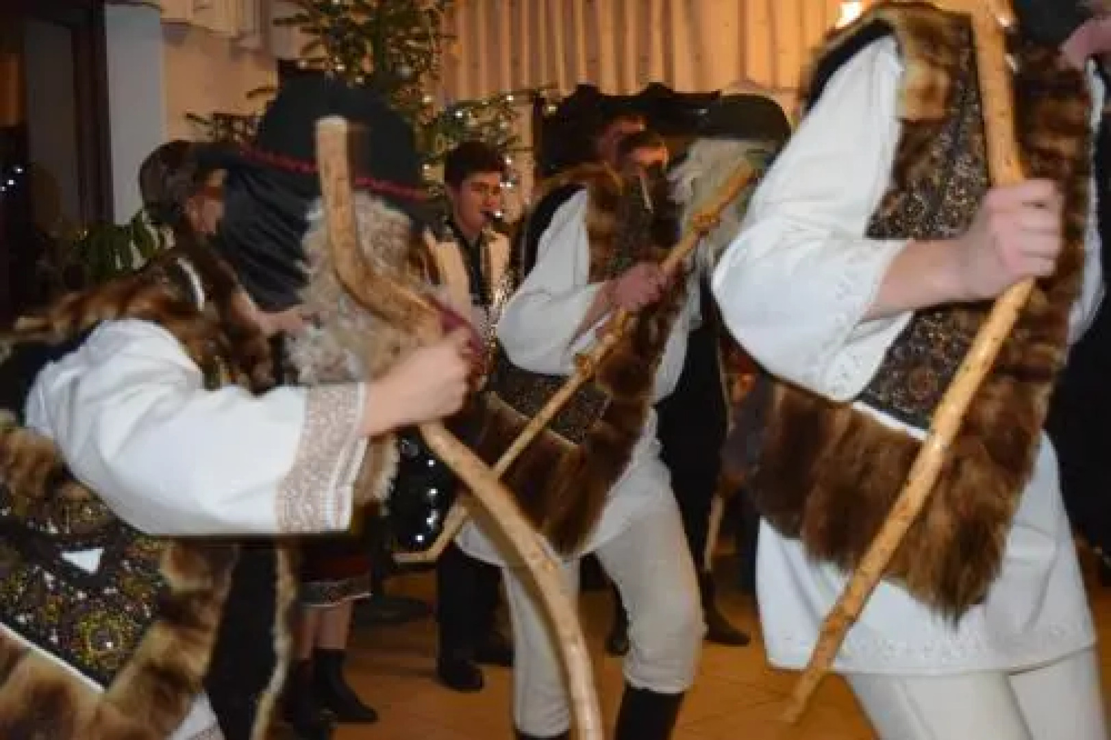 Pensiunea Mugur de Fluier