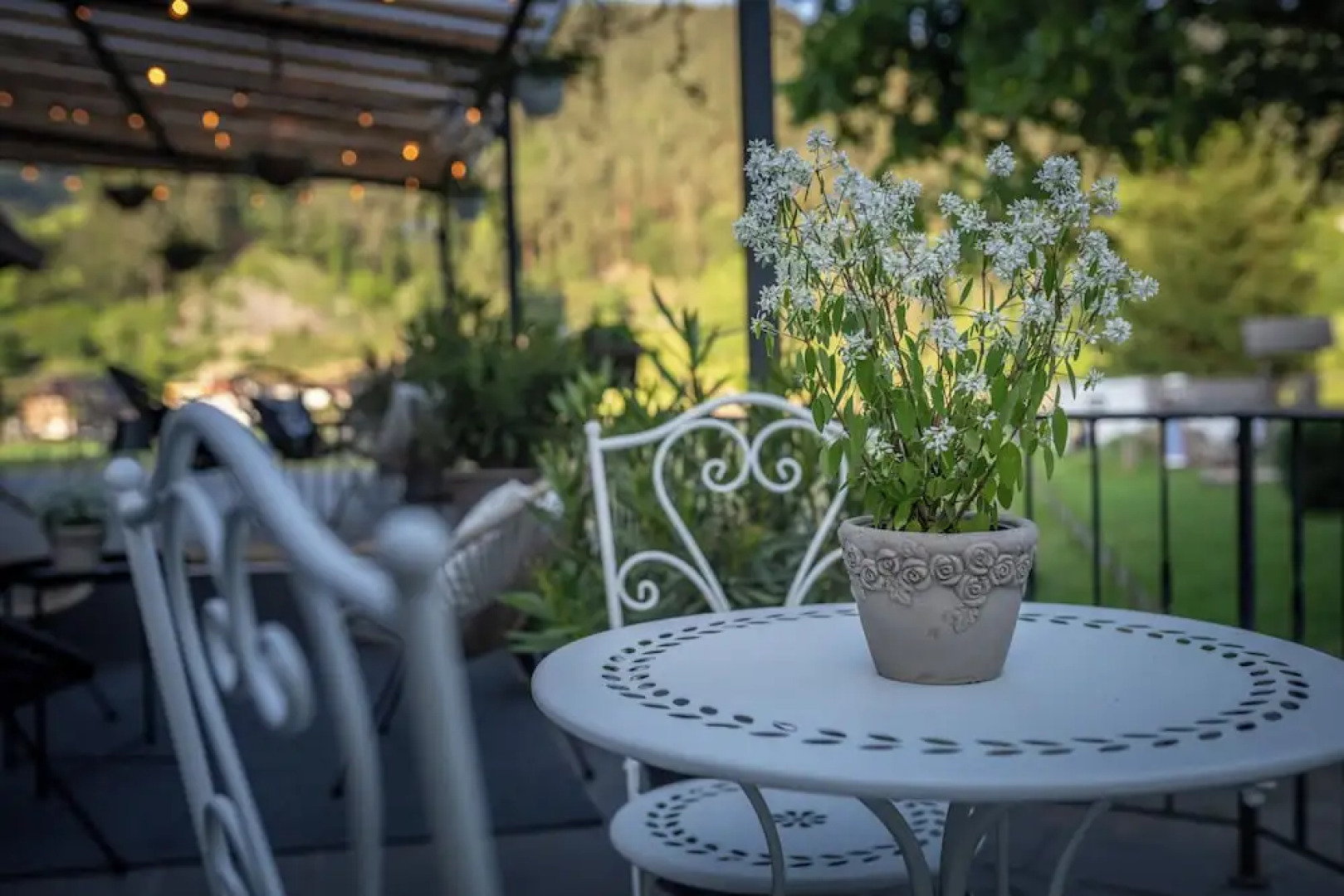 Engel 16 - Adults Only