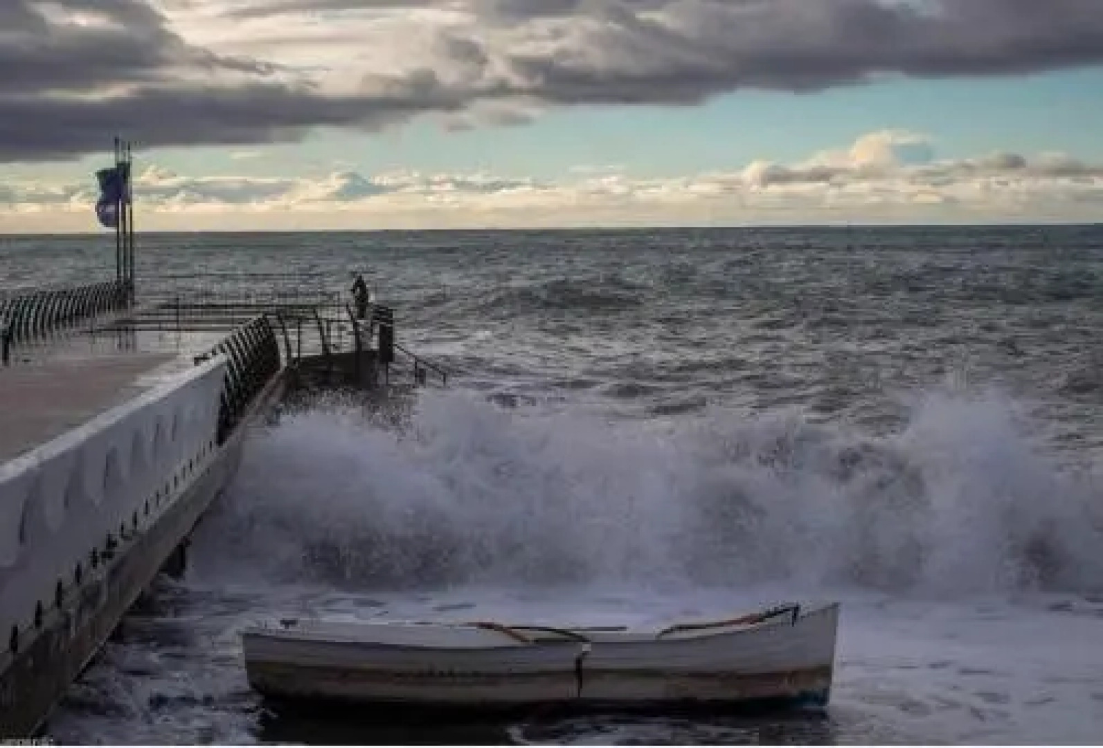 Brasca 2018 Rosa Canina