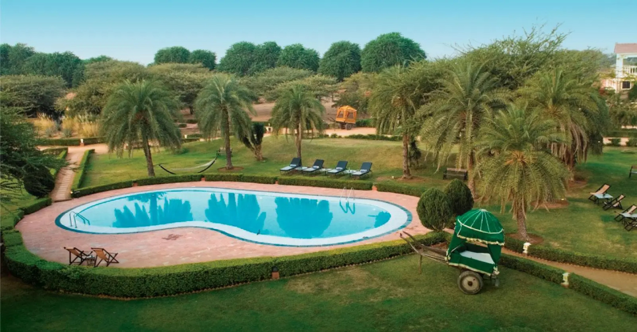 Clarks Safari Pushkar