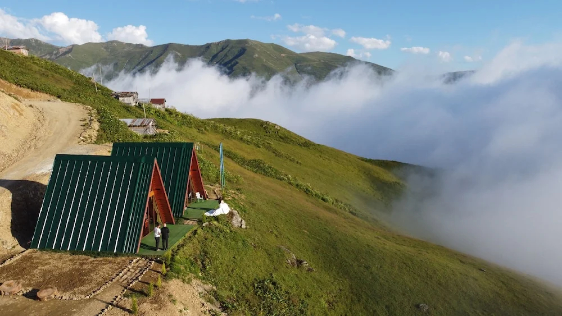 Bear Bungalov