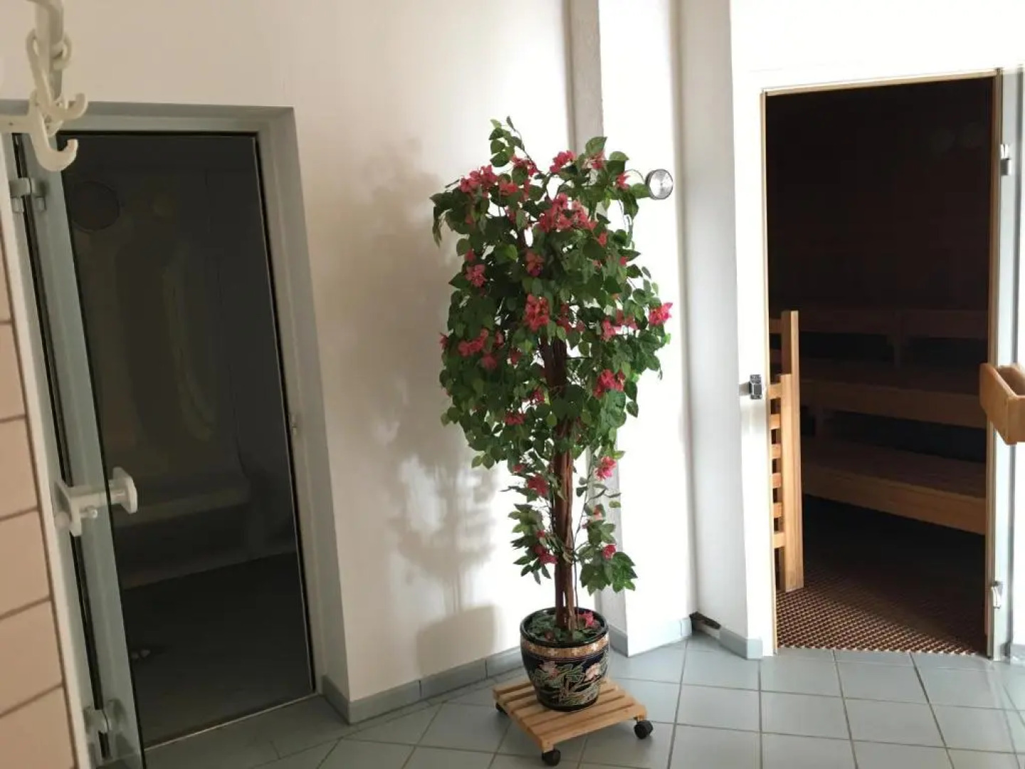 Ferienappartements Rausch