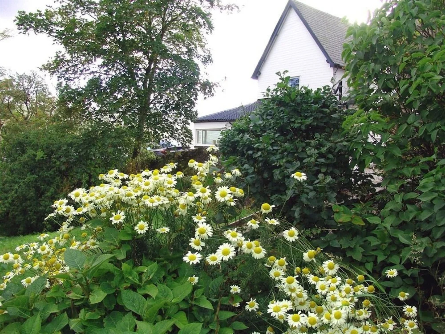 The Overscaig House Hotel