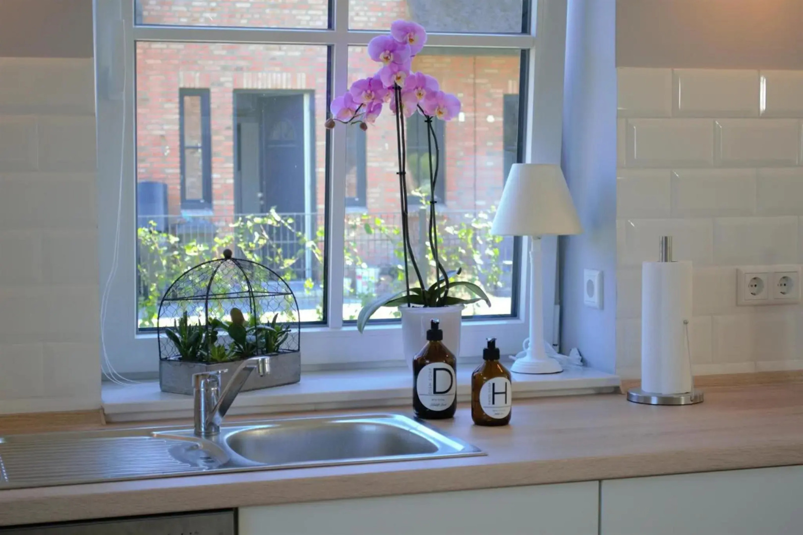 Reetdachhaus Nordstern