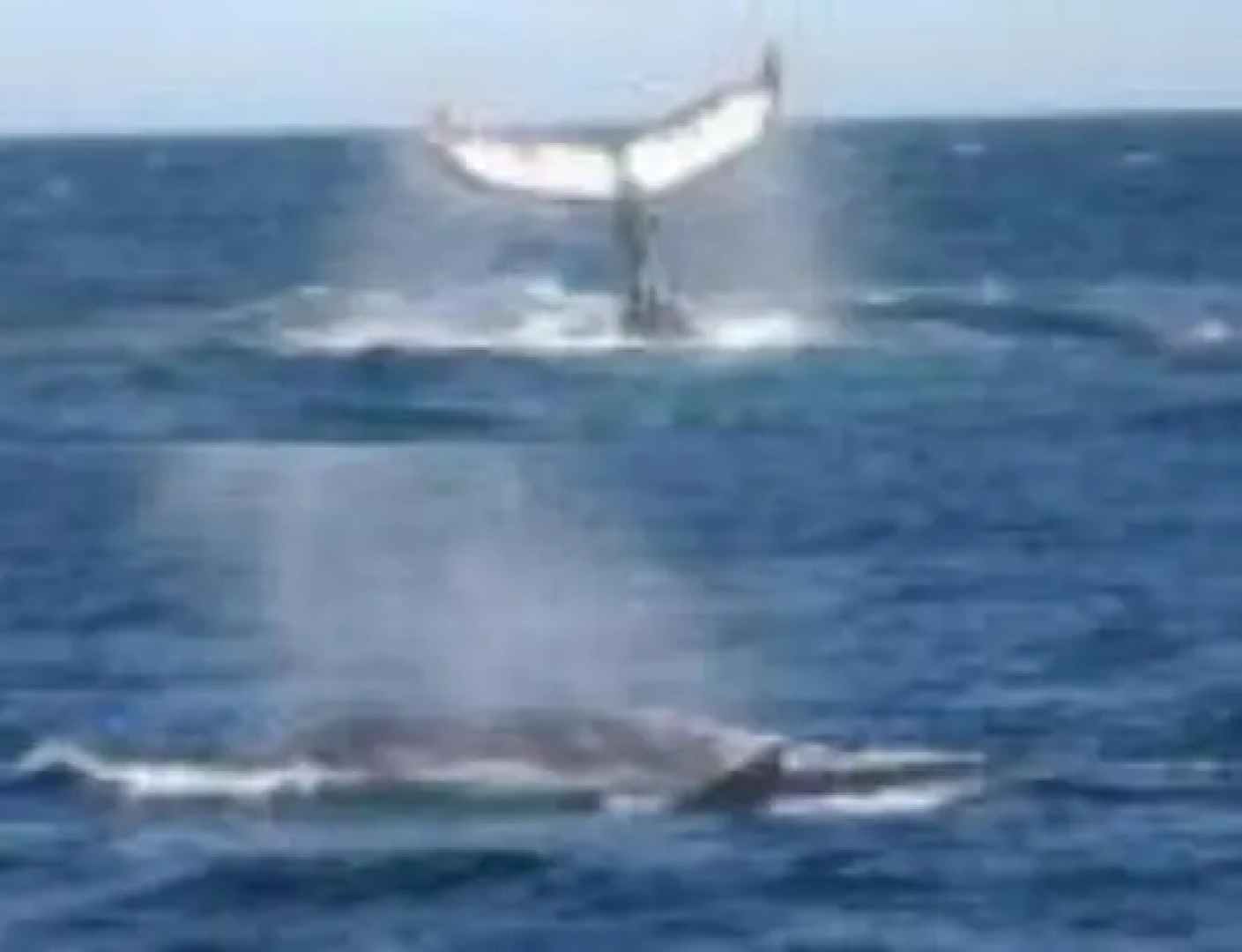 A Sacred Mountain Retreat