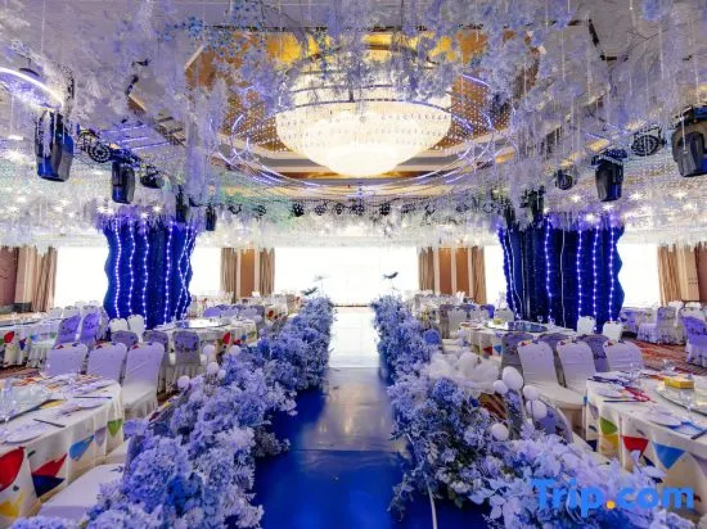 Galactic Garden International Hotel