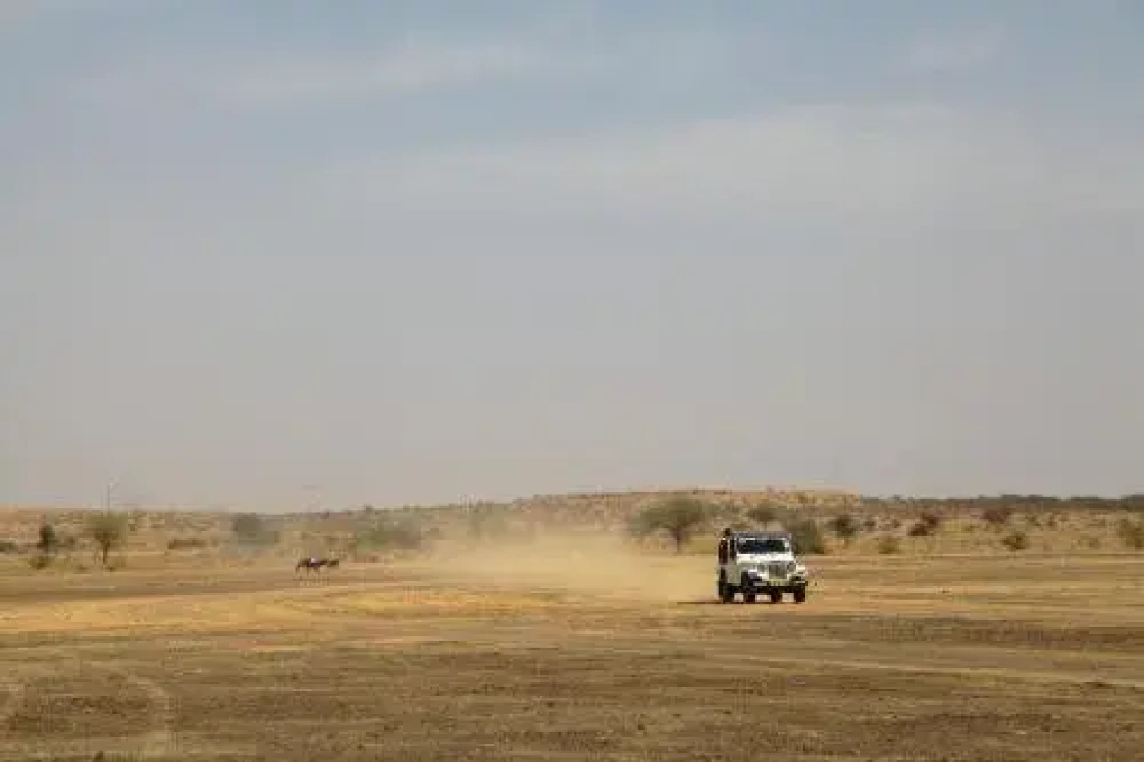 Hotel Desert Memories