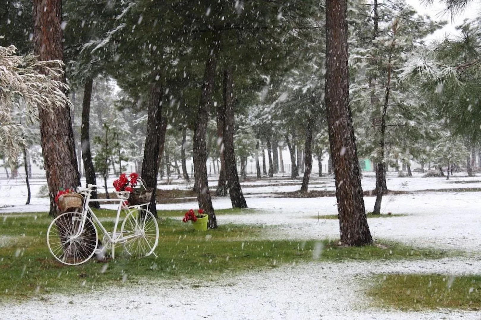 Casa Rural Rancho Montalvo